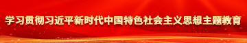 又粗又大进xBB视频学习贯彻习近平新时代中国特色社会主义思想主题教育